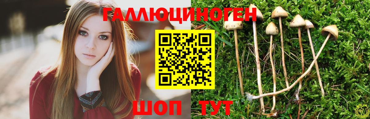 Псилоцибиновые грибы Magic Shrooms  Вход с VPN  Галлюциногенные грибы прущие грибы  Таганрог 